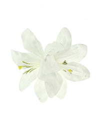 Lilies on Concord Clip & Brooch Hair Pin
