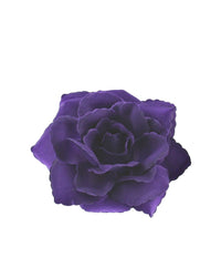 Rose on Concord Clip & Brooch Hair Pin