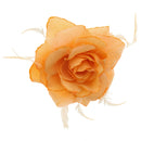Rose with Glitter & Feather on Elastic & Hair Clip