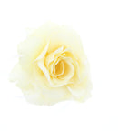 Glitter Rose with Feathers on Concord Clip