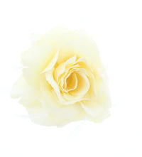 Glitter Rose with Feathers on Concord Clip