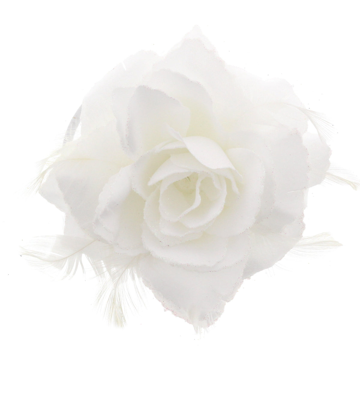 12 / White