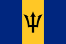 ZFLAG005