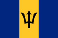 ZFLAG005