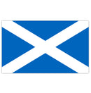 ZFLAG013