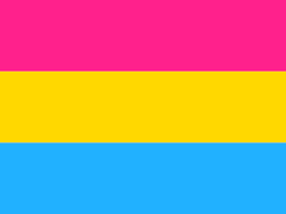 5 x 3 Feet Pansexual Flag with Brass Eyelets