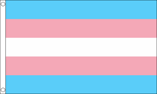 5 x 3 Feet Transgender Flag with Brass Eyelets