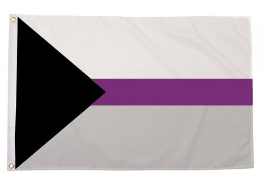 Demisexual Flag with Brass Eyelets