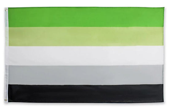 Aromantic Flag with Brass Eyelets