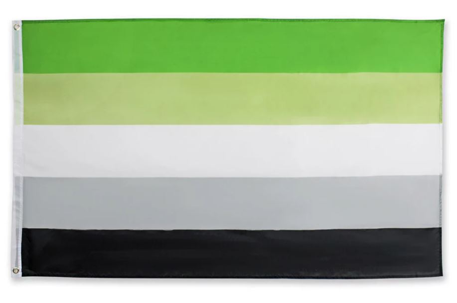 Aromantic Flag with Brass Eyelets