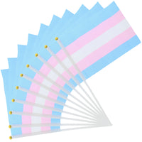 Handheld Transgender Flag