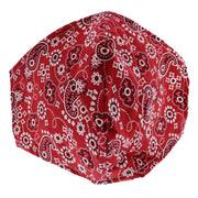 Paisley Print Cotton Face Mask