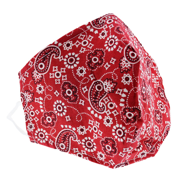 Paisley Print Cotton Face Mask