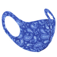 Paisley Print Value Face Mask