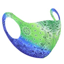 Green & Blue Retro Paisley Print Value Face Mask