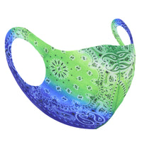 Green & Blue Retro Paisley Print Value Face Mask