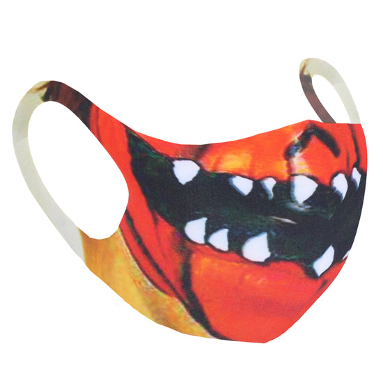 Halloween Pumpkin Value Face Mask