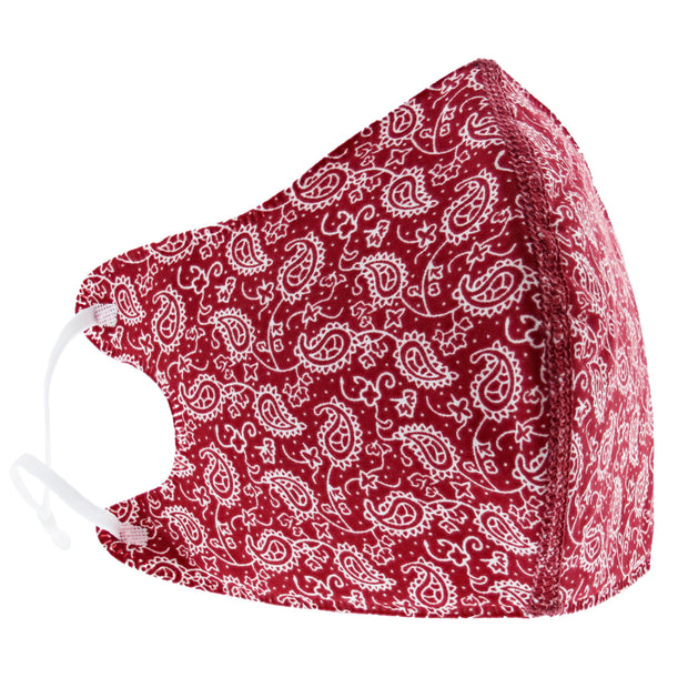 Paisley Print Cotton Face Mask