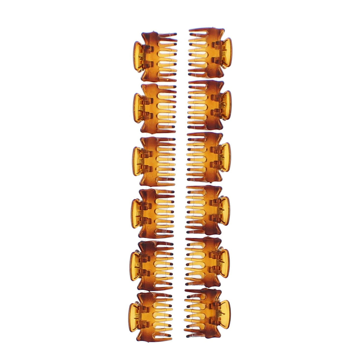 12 / Tortoiseshell