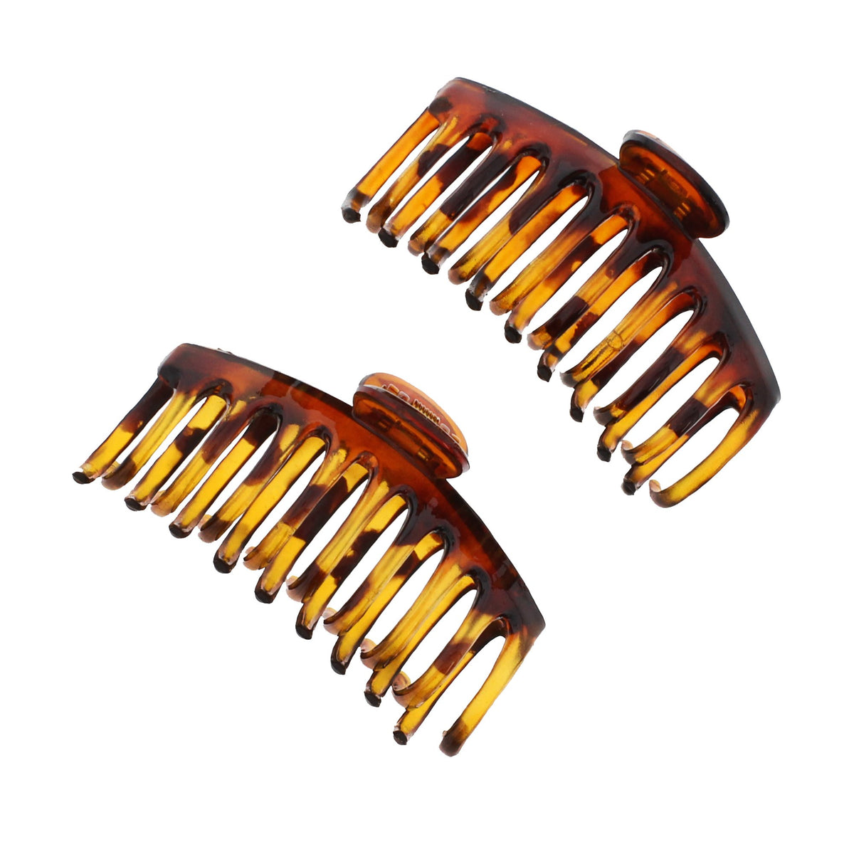 12 / Tortoiseshell