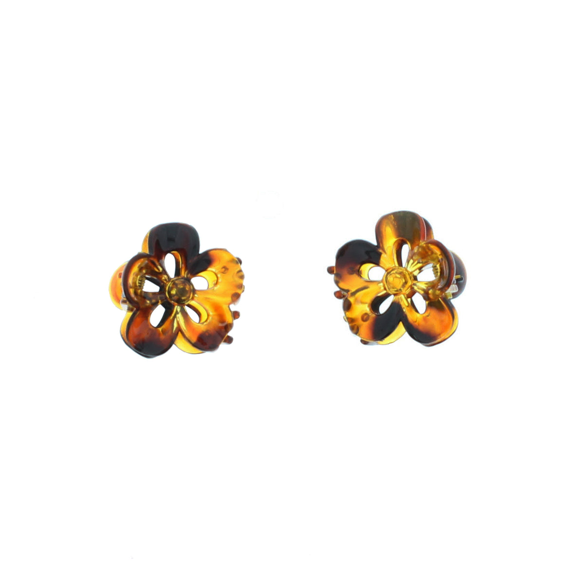 12 / Tortoiseshell