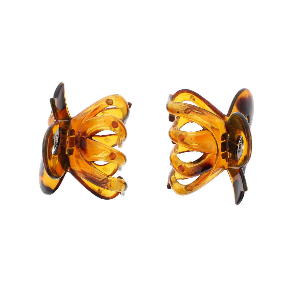 12 / Tortoiseshell