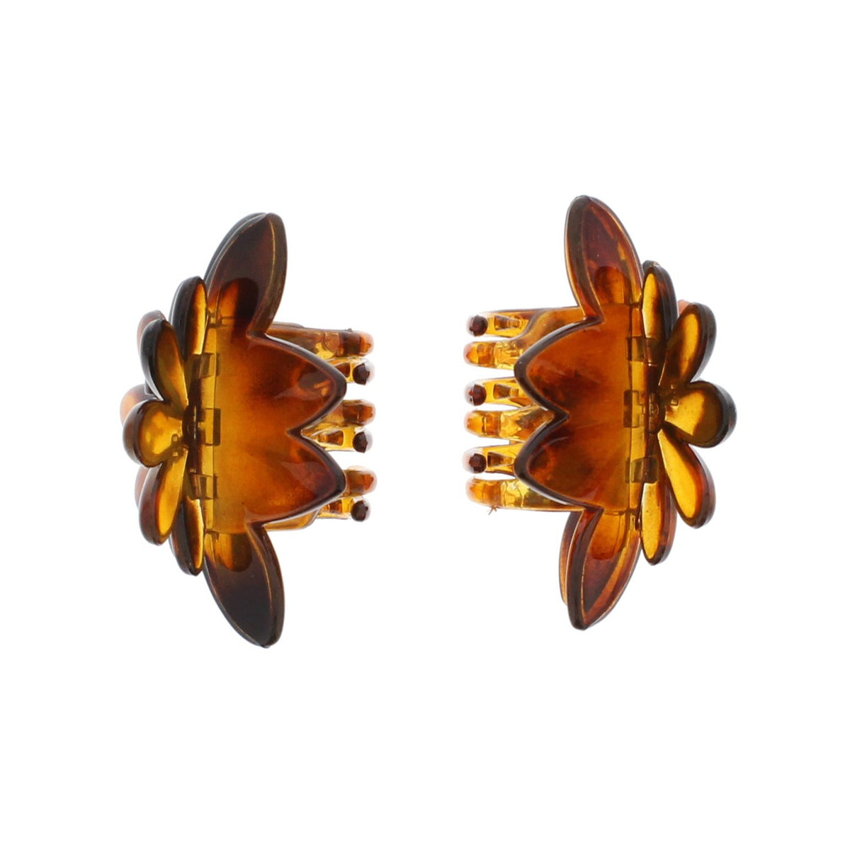 12 / Tortoiseshell
