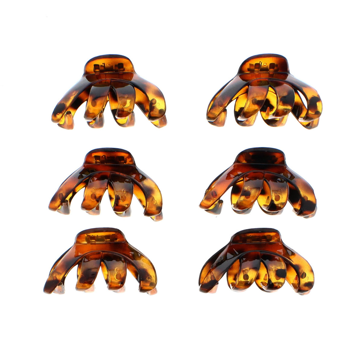 12 / Tortoiseshell