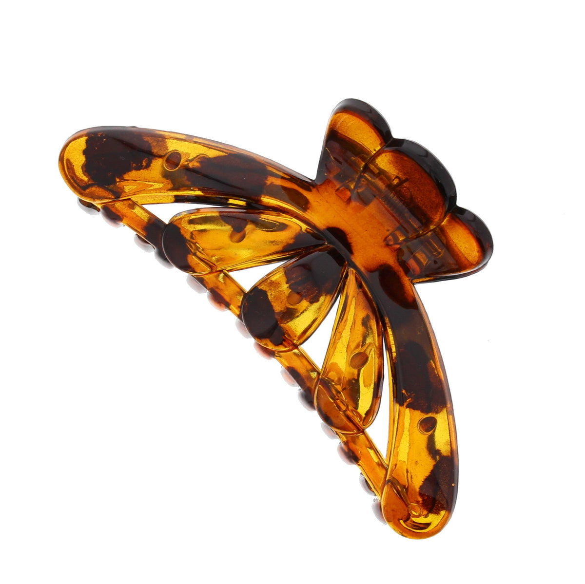 12 / Tortoiseshell