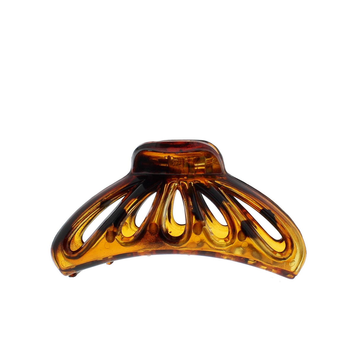 12 / Tortoiseshell