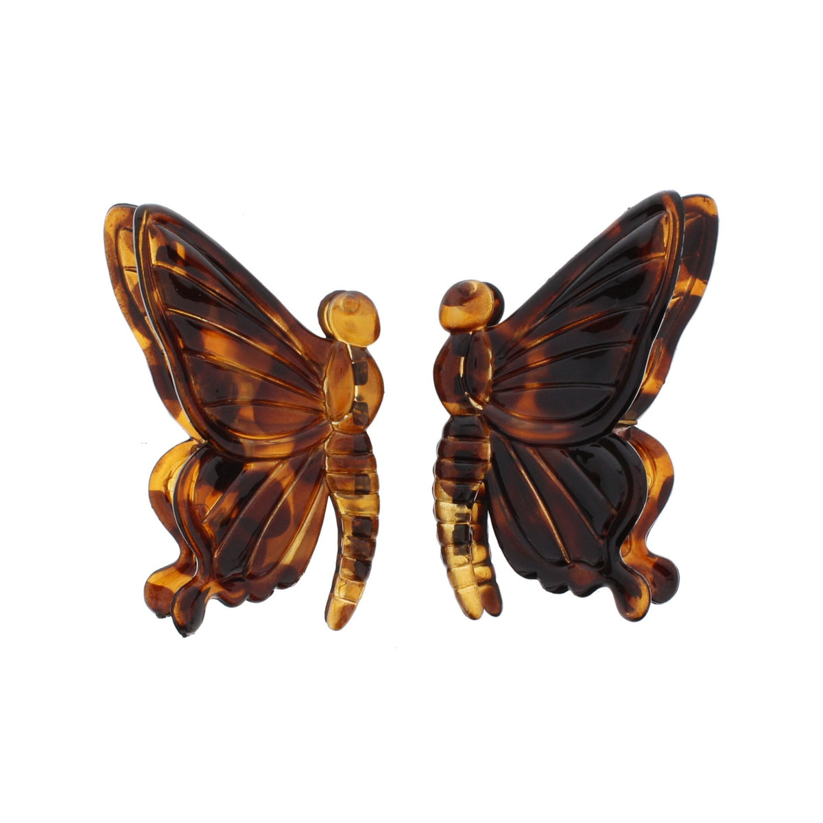 12 / Tortoiseshell