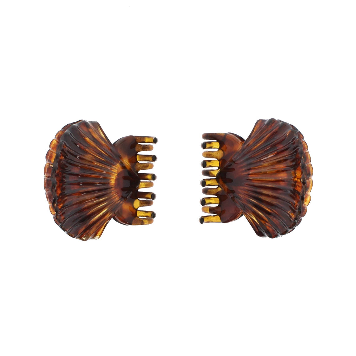 12 / Tortoiseshell