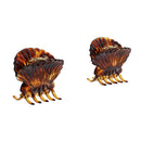 4.5cm Shell Clamps