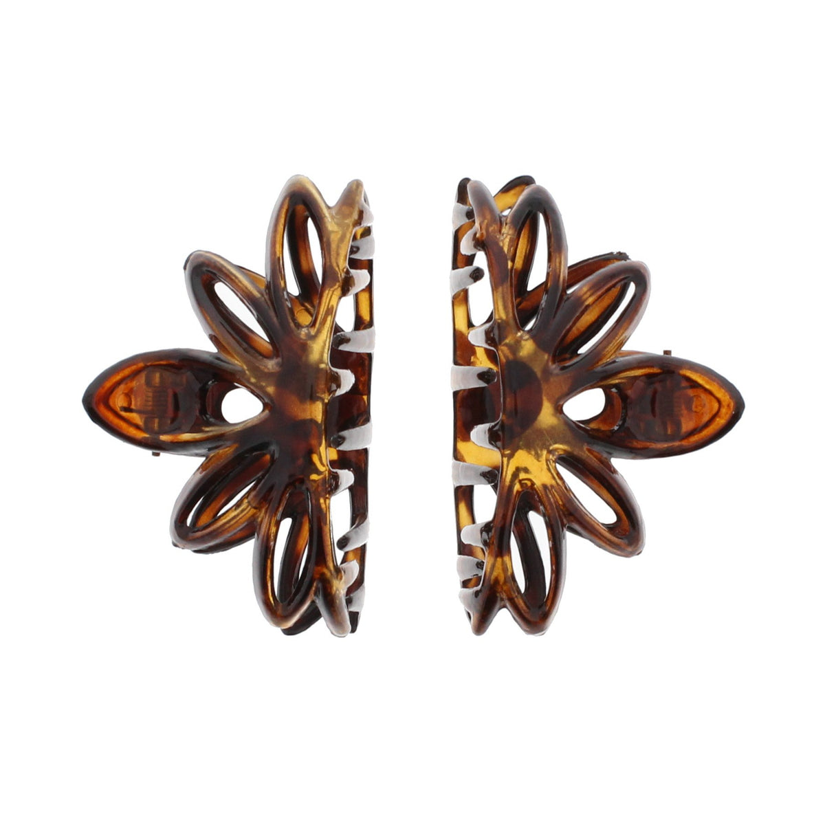 12 / Tortoiseshell