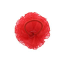 Pom Pom Hair Elastic