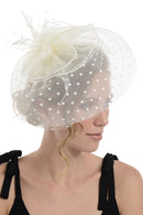 Fascinator on Concord Beak Clip or Aliceband