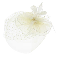 Fascinator on Concord Beak Clip or Aliceband