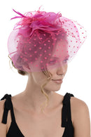 Fascinator on Concord Beak Clip or Aliceband