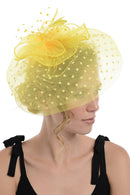 Fascinator on Concord Beak Clip or Aliceband