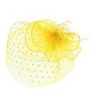 Fascinator on Concord Beak Clip or Aliceband