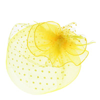 Fascinator on Concord Beak Clip or Aliceband