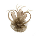 Fascinator on Clip & Brooch Pin