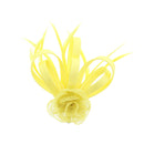 Fascinator on Clip & Brooch Pin
