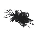 Fascinator on Clip & Brooch