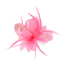 Fascinator on Clip & Brooch