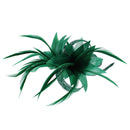 Fascinator on Clip & Brooch