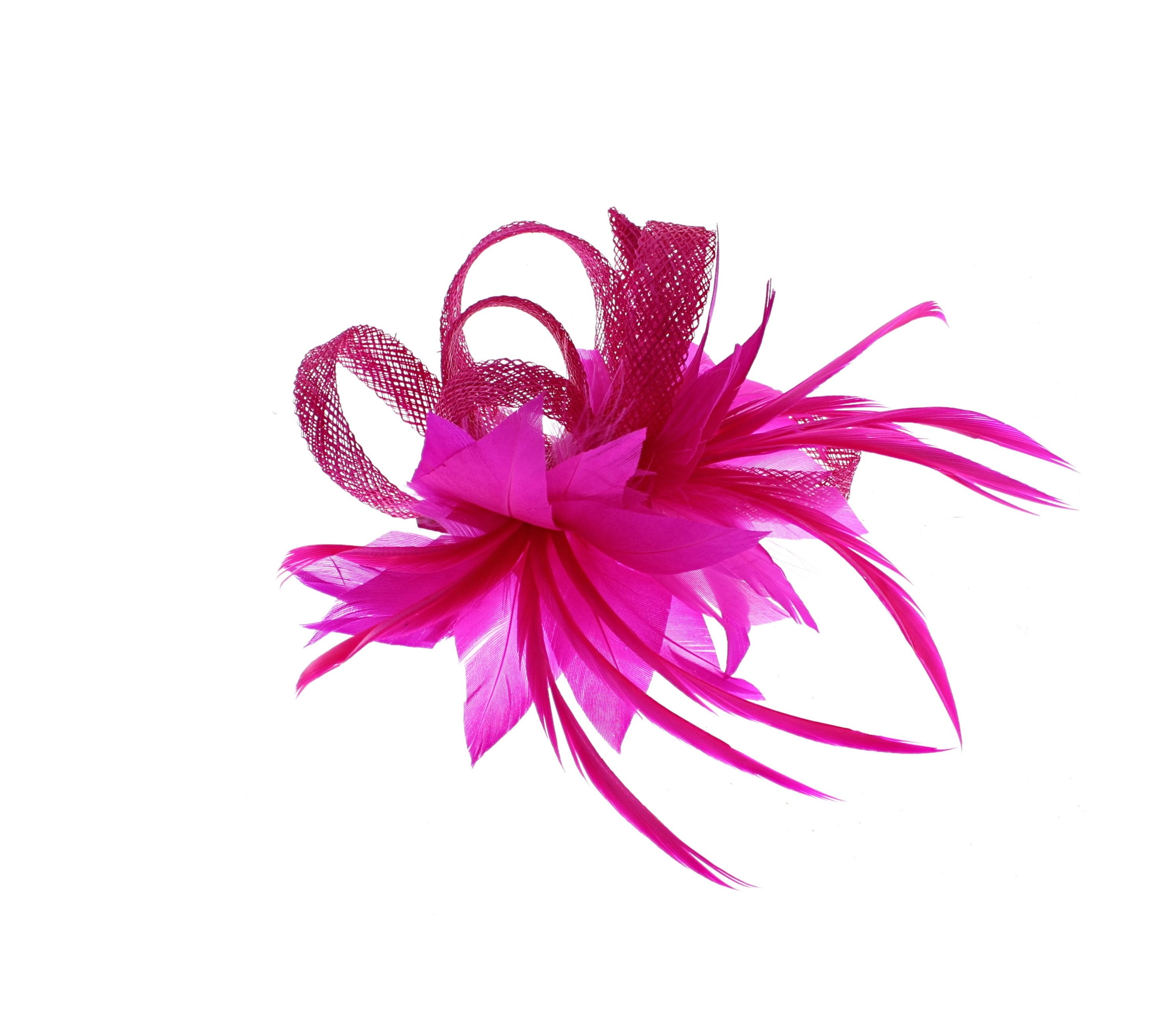 Fascinator on Clip & Brooch