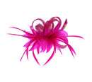 Fascinator on Clip & Brooch