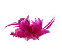 Fascinator on Clip & Brooch