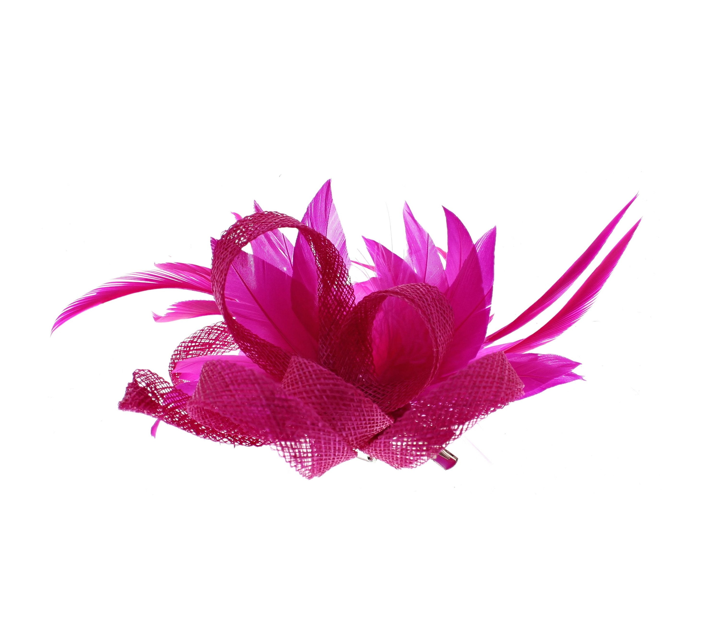 Fascinator on Clip & Brooch